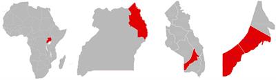 The effects of climate change on gender roles among agro-pastoral farmers in Nabilatuk district, Karamoja subregion, North Eastern Uganda